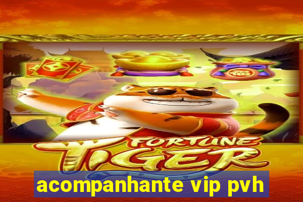 acompanhante vip pvh